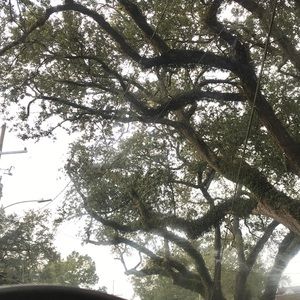 Meet your Posher, Roxanne